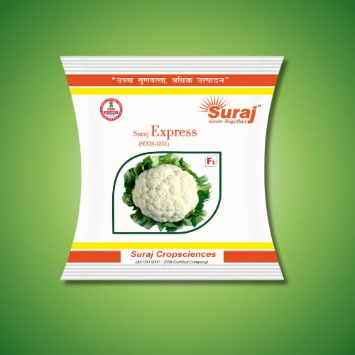 SURAJ EXPRESS (SCCH-1351)