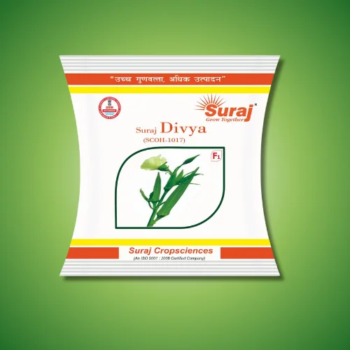 SURAJ DIVYA (SCOH-1017)