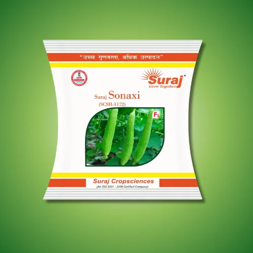 SURAJ SONAXI (SCSH-1172)