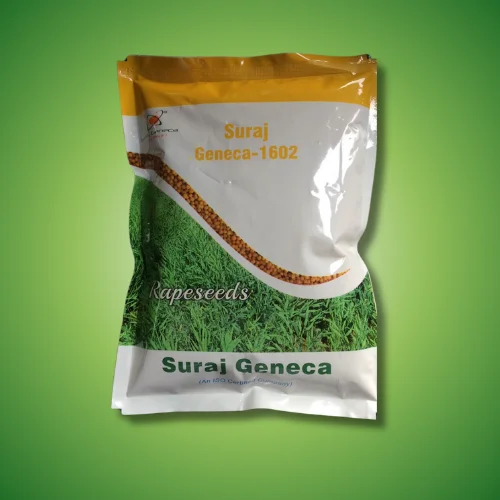 SURAJ GENECA - 1602(SIDDHI)