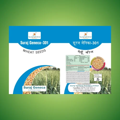 SURAJ GENECA - 301(SHIVAM)