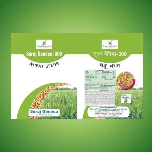 SURAJ GENECA - 309(DEVESH)