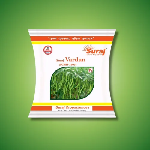 SURAJ VARDAN (SCMH-1403)